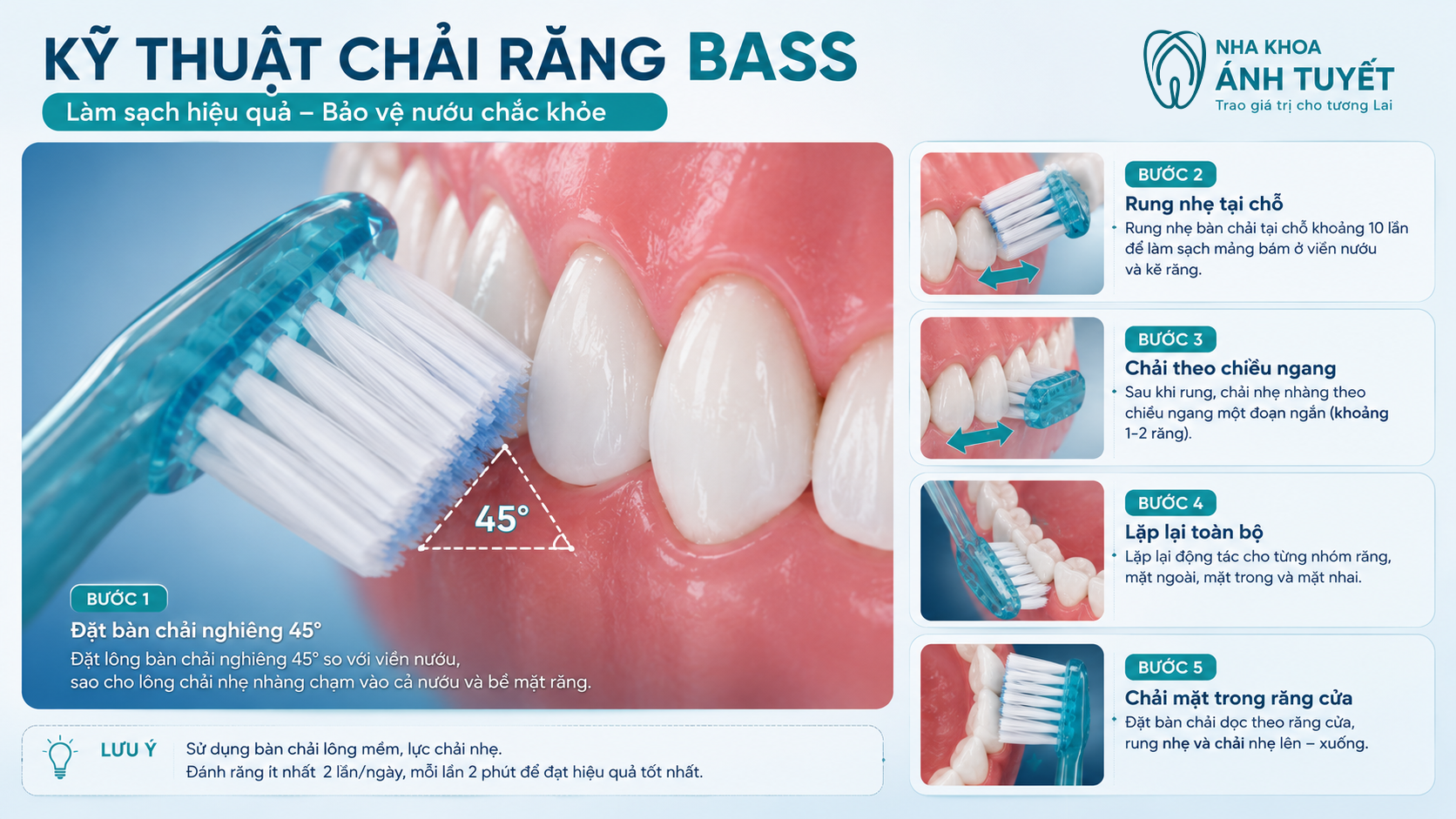 Hướng dẫn chải răng đúng kỹ thuật Bass giúp bảo vệ mô nướu