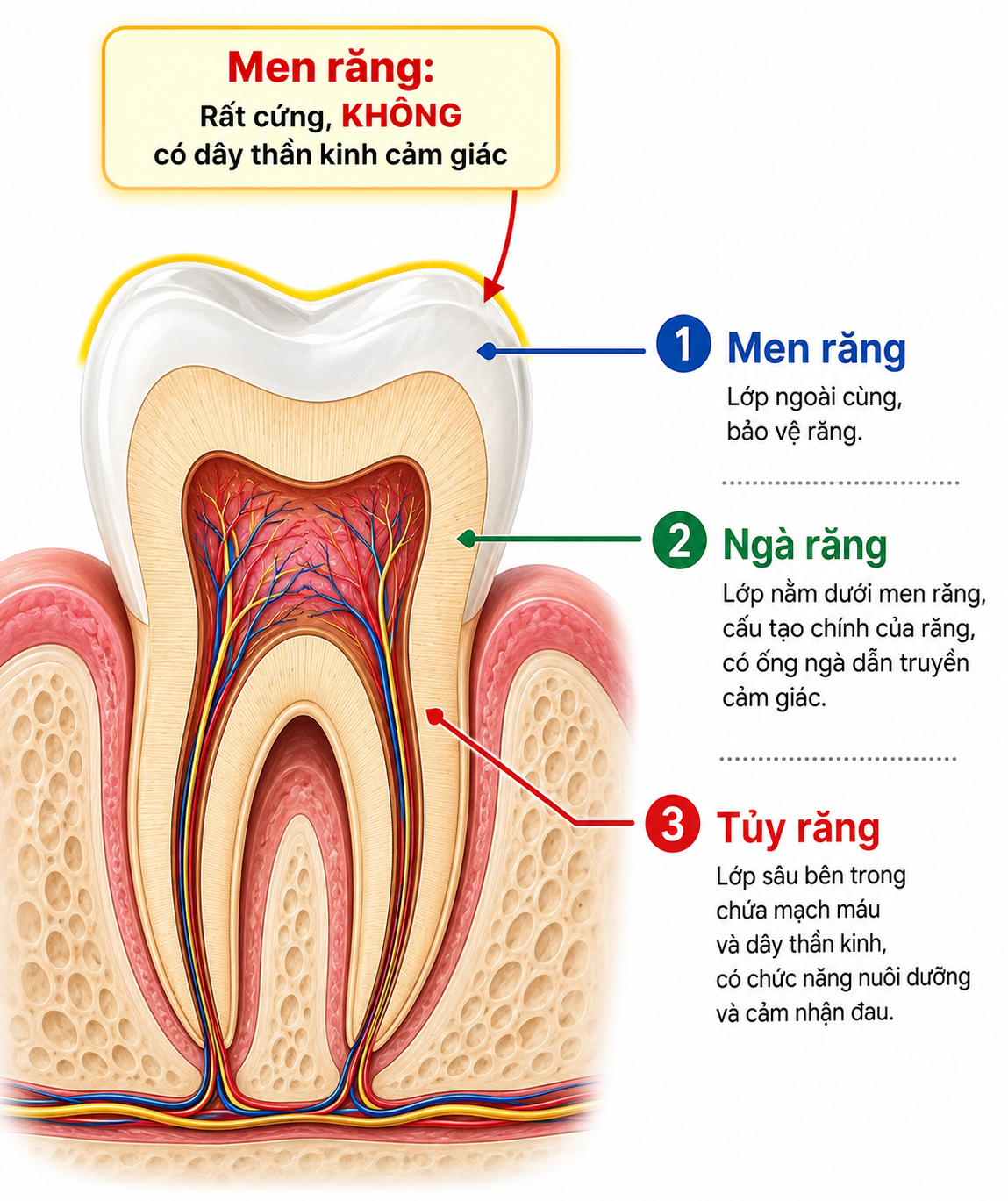 "Điều trị sâu răng không đau tại Nha khoa Ánh Tuyết".