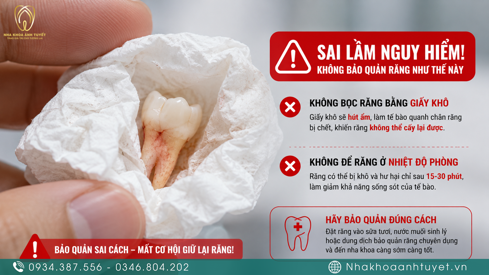 Cảnh báo nguy cơ làm hoại tử tế bào màng dây chằng khi bọc răng trong giấy khô