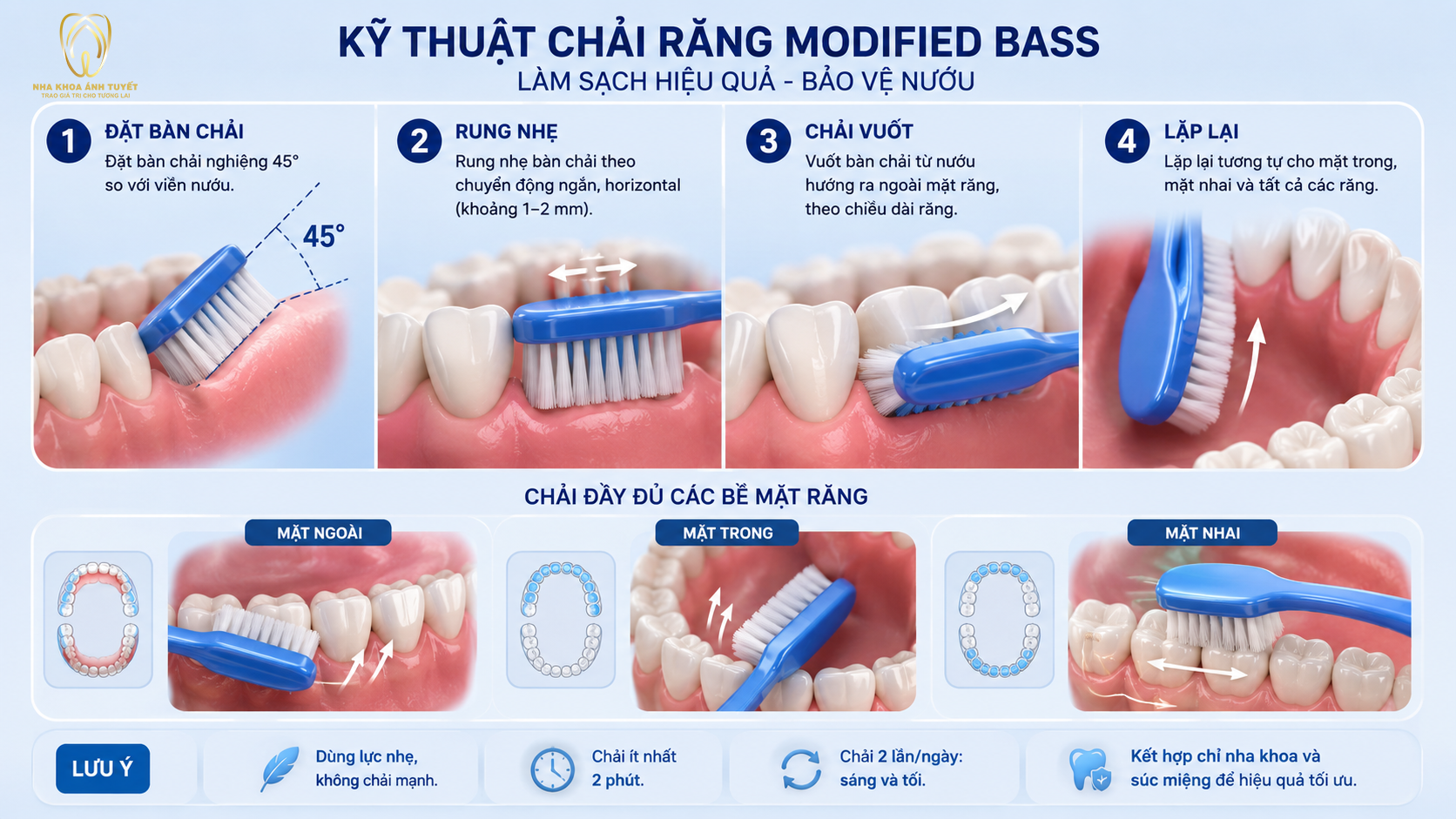 Các bước hướng dẫn kỹ thuật chải răng Bass cải tiến